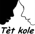ensemble-scolaire-saint-michel-picpus-paris-12-logo-tet-kole